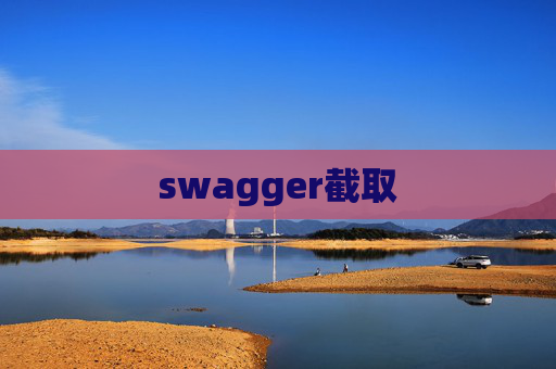 swagger截取
